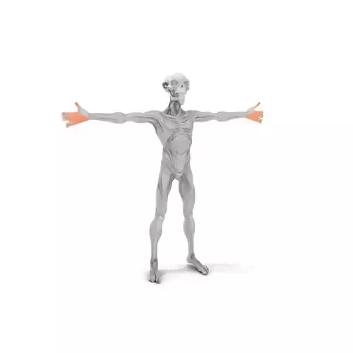 Alien Creature model pack