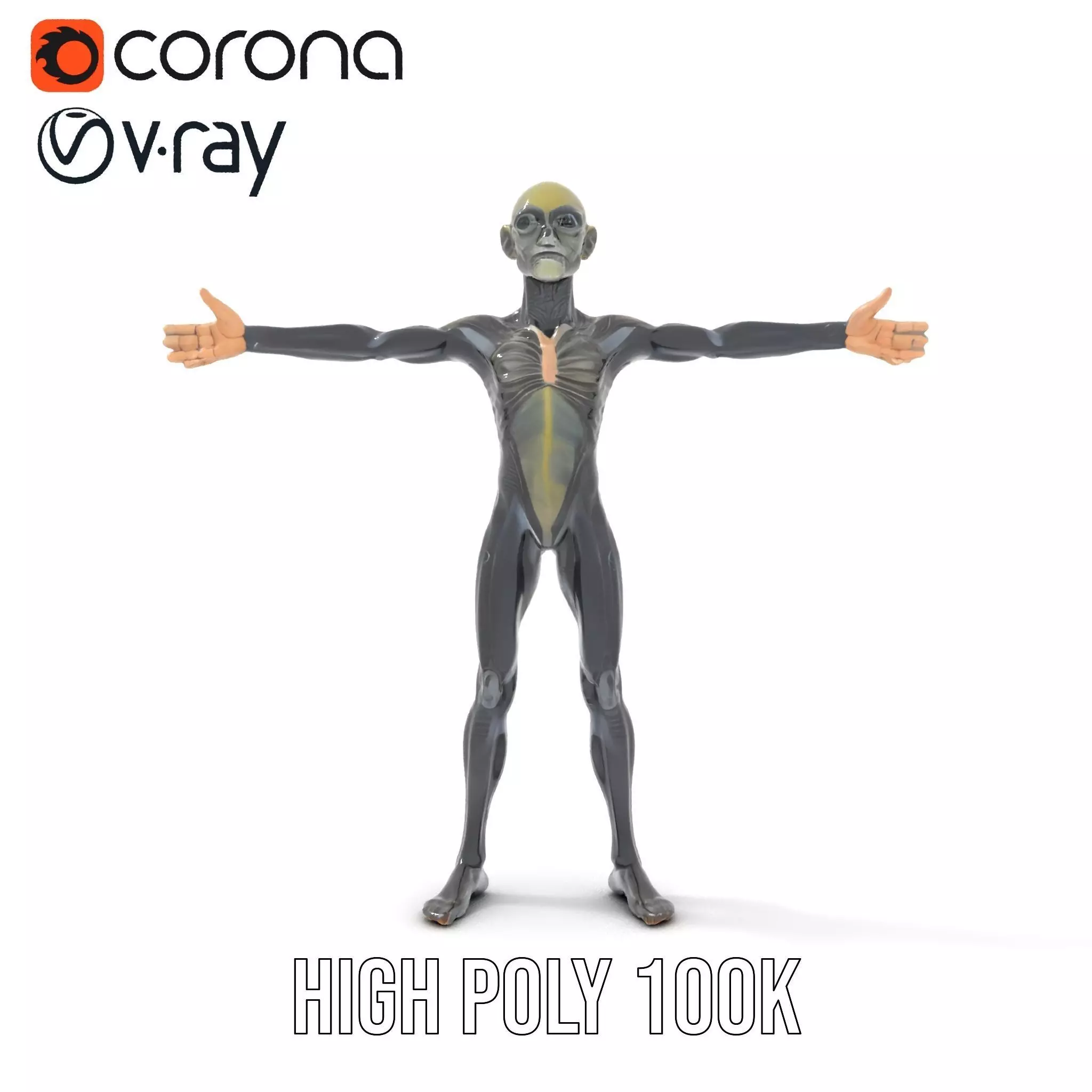 Detailed Alien Creature model pack Low-poly 3D model_12