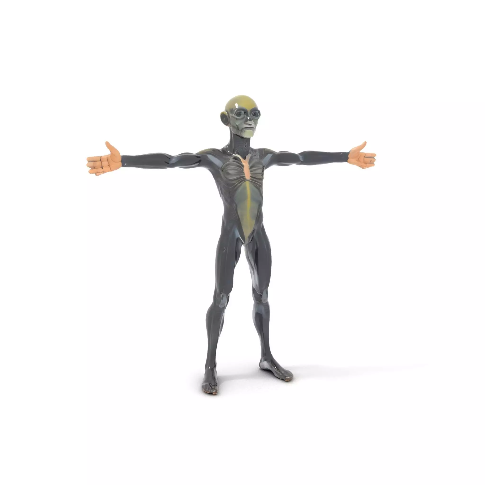 Detailed Alien Creature model pack Low-poly 3D model_0