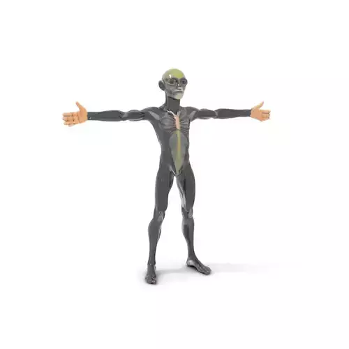 Detailed Alien Creature model pack