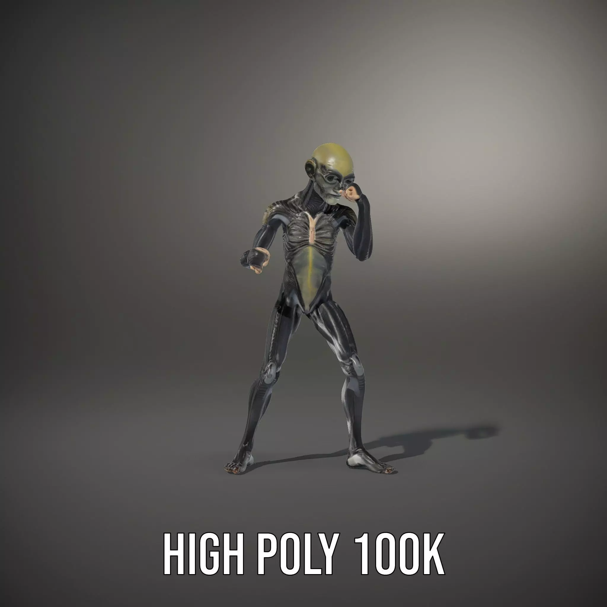 Detailed Alien Creature model pack Low-poly 3D model_34