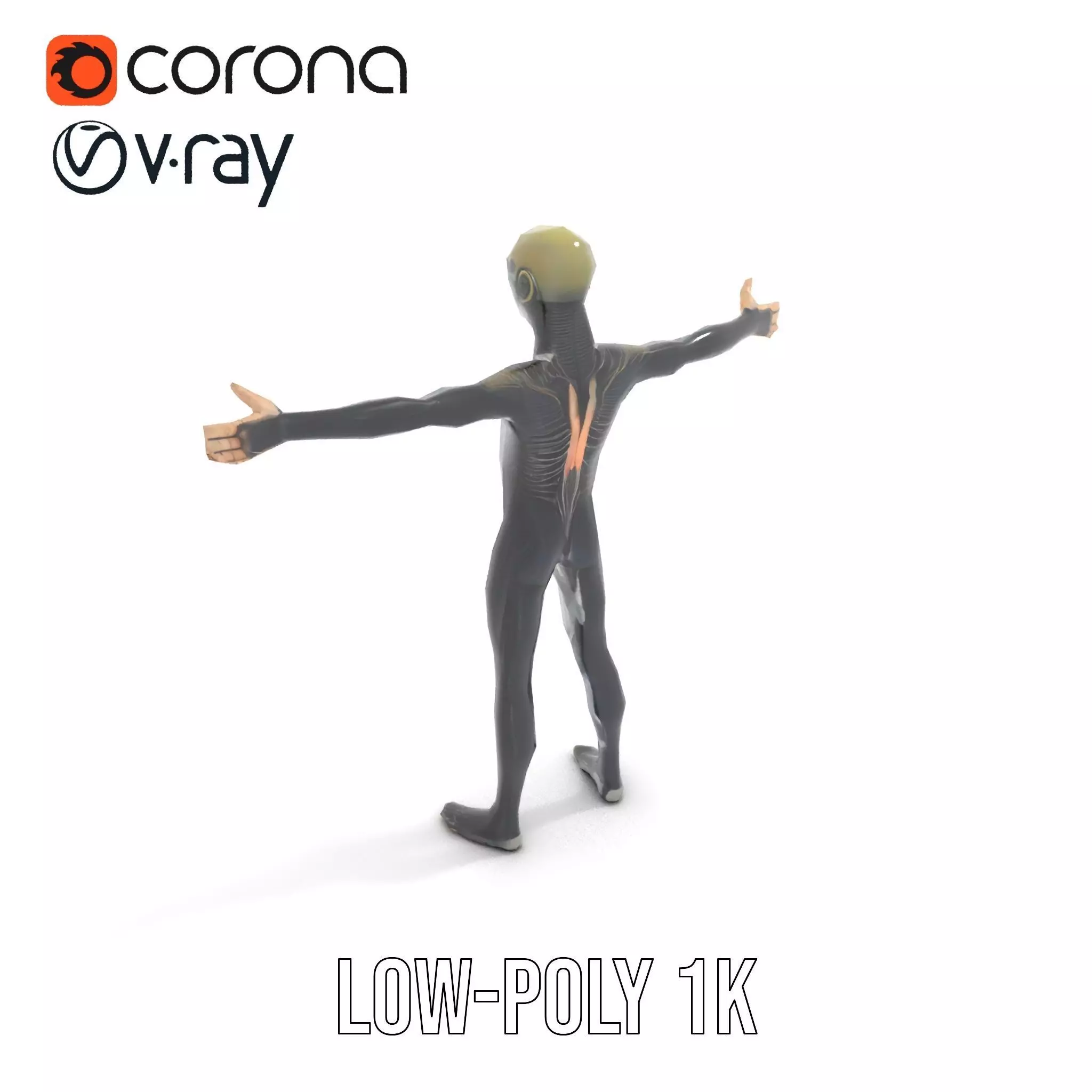 Detailed Alien Creature model pack Low-poly 3D model_14