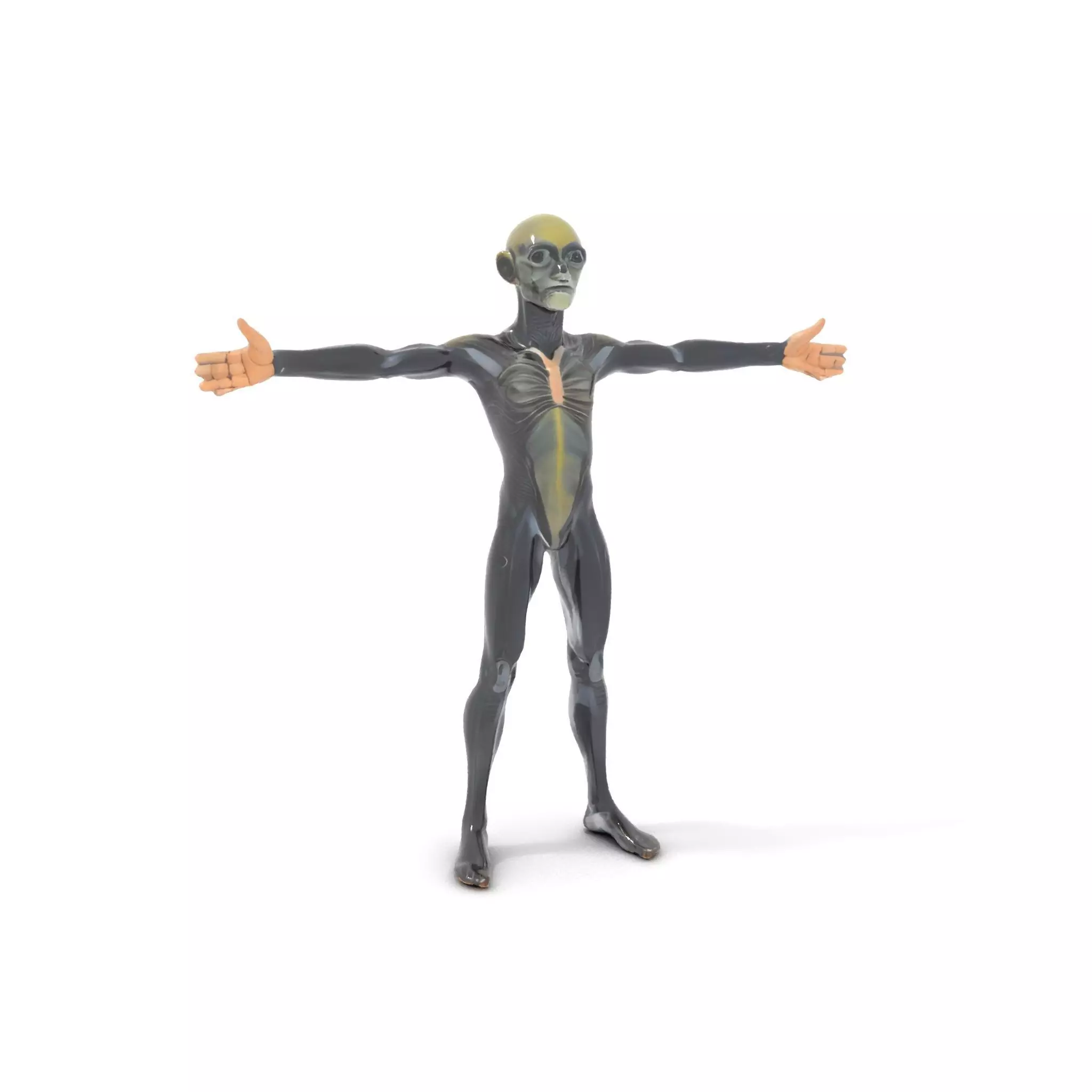 Detailed Alien Creature model pack Low-poly 3D model_15