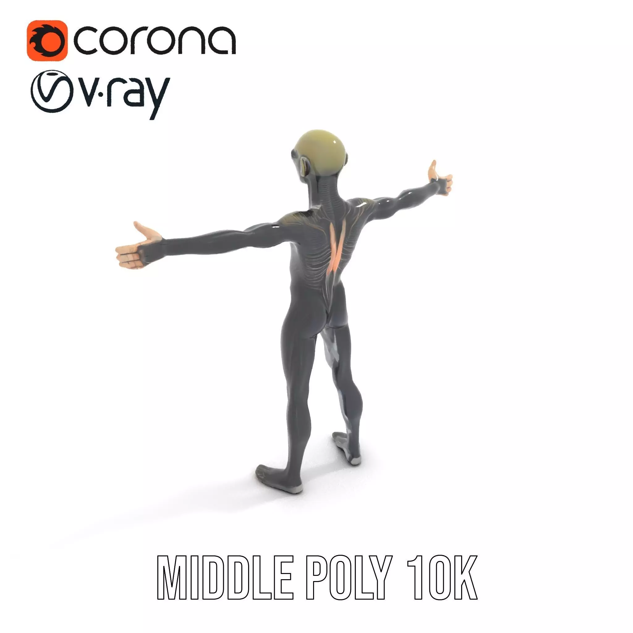 Detailed Alien Creature model pack Low-poly 3D model_6