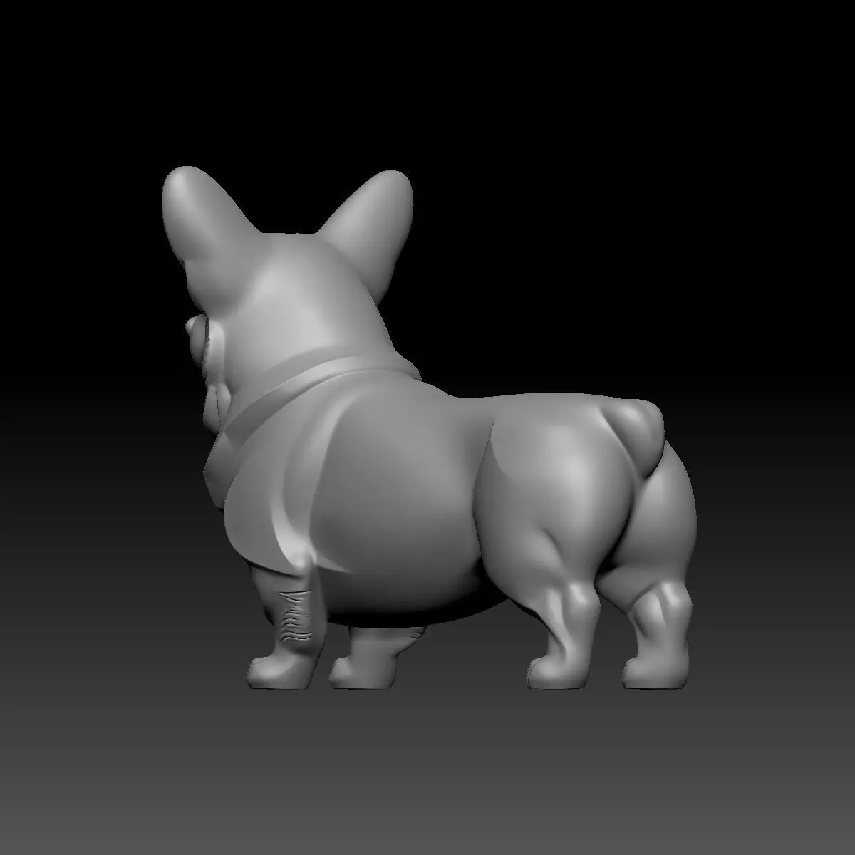 Little Corgi 3D model_9