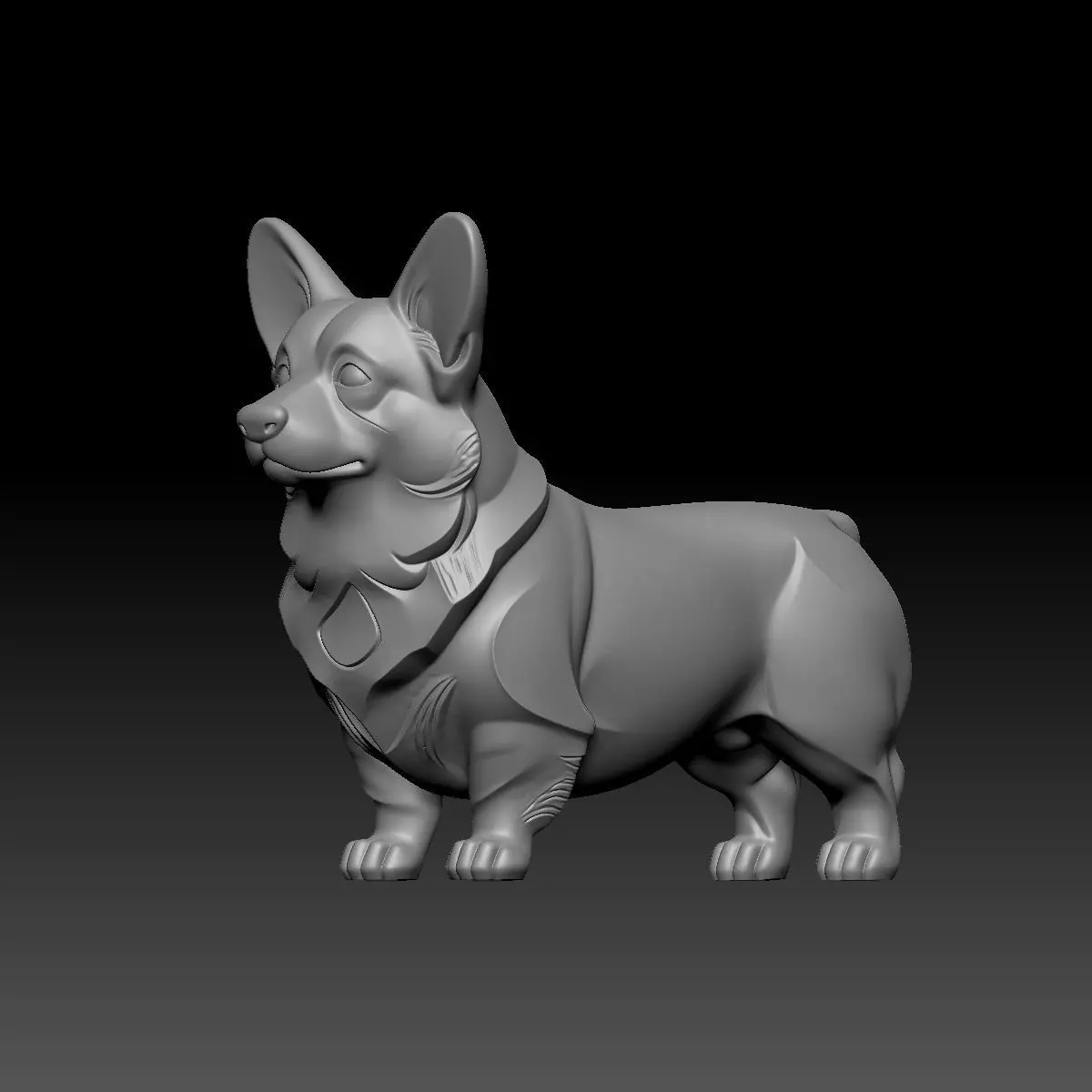 Little Corgi 3D model_8