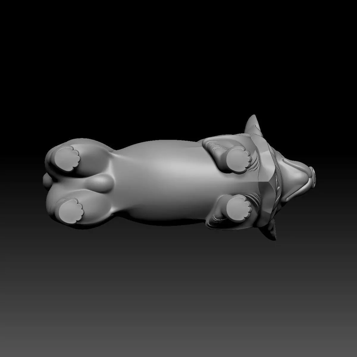 Little Corgi 3D model_7