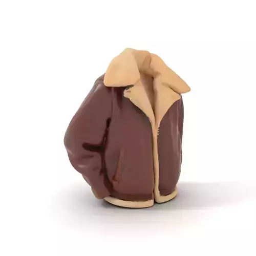 Cozy Brown Jacket model pack Low-poly 3D model