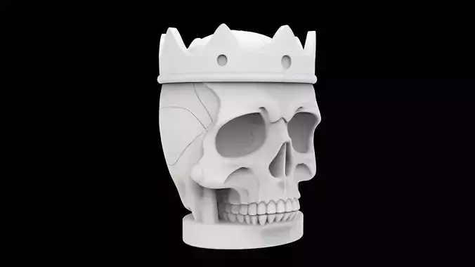 Skull Coin Bank 3d Print Model