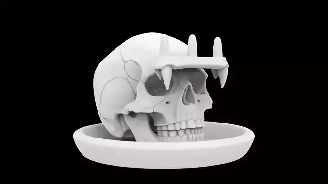 Skull Ring Holder 3d Print Model