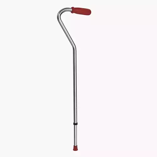 Walking Stick or Walking Cane