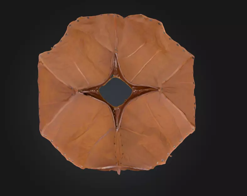 Large Medieval Camp Low-poly 3D model_9