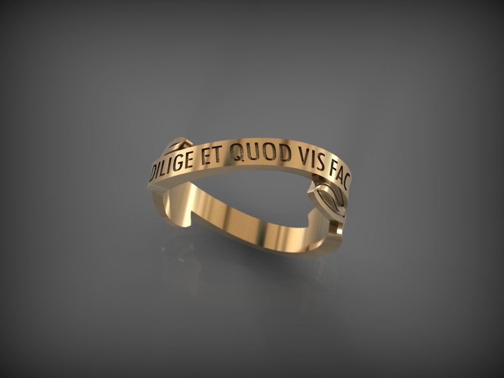 Ring DILIGE ET QUOD VIS FAC 3D print model_0