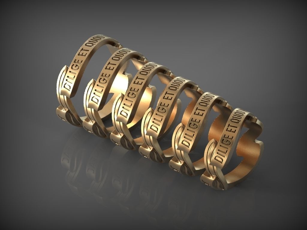 Ring DILIGE ET QUOD VIS FAC 3D print model_5