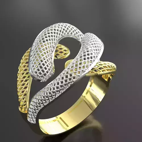 3D Ring Design