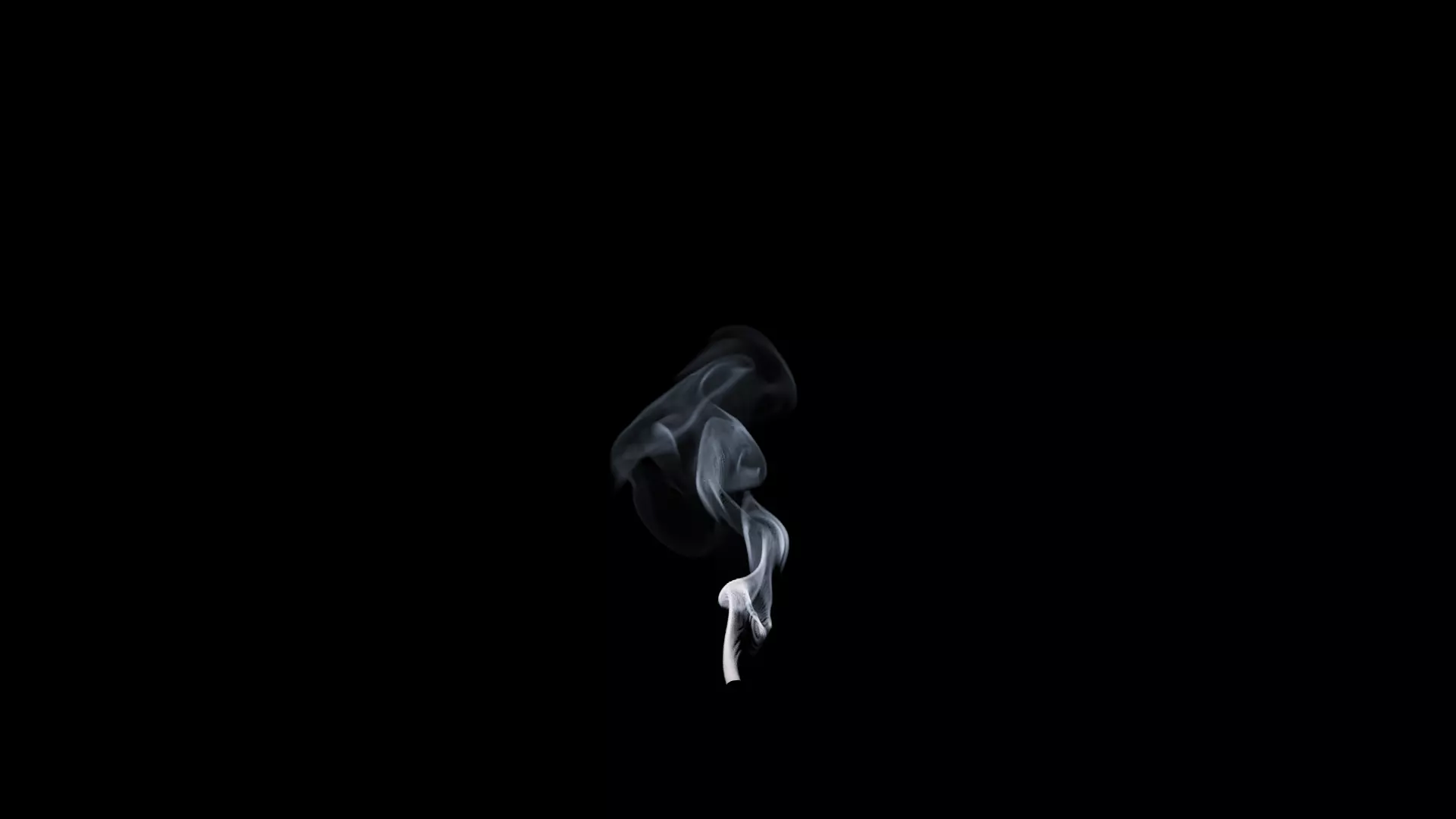 3D Cigar Smoke Animation 3D model_58