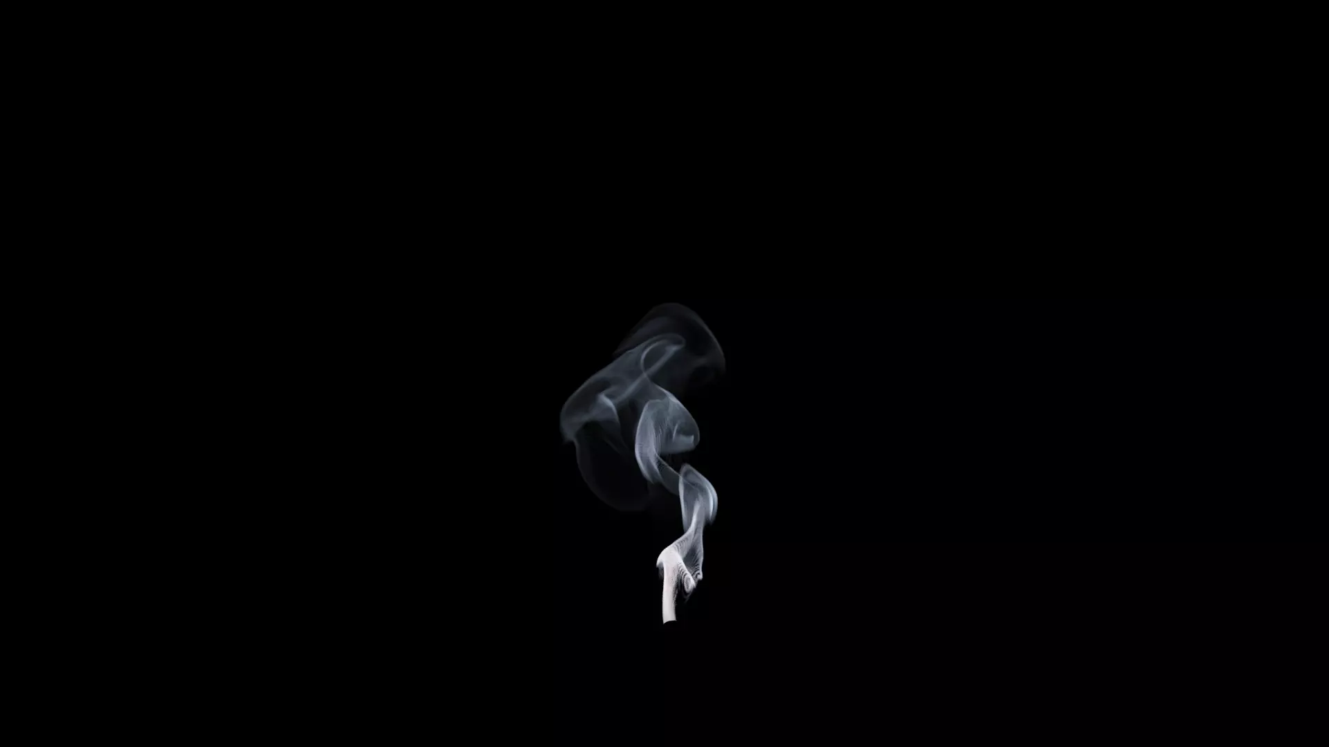 3D Cigar Smoke Animation 3D model_50
