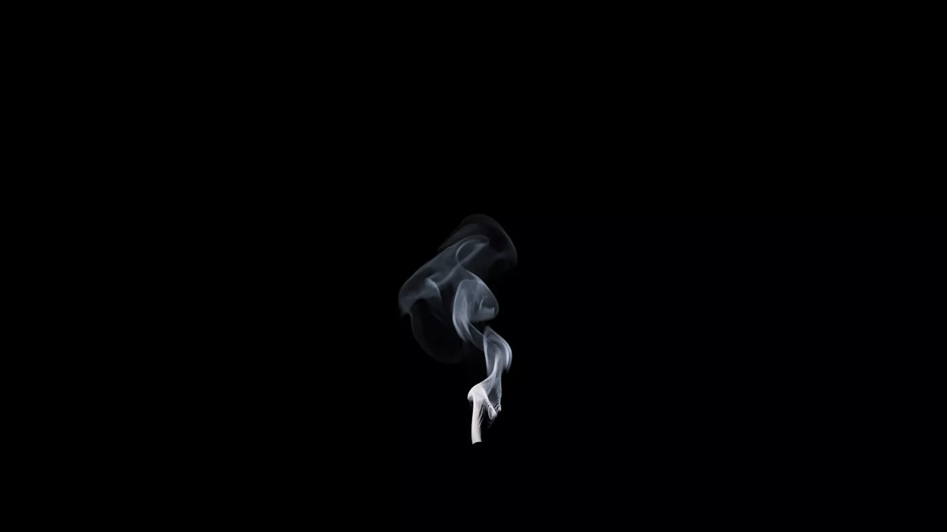 3D Cigar Smoke Animation 3D model_53