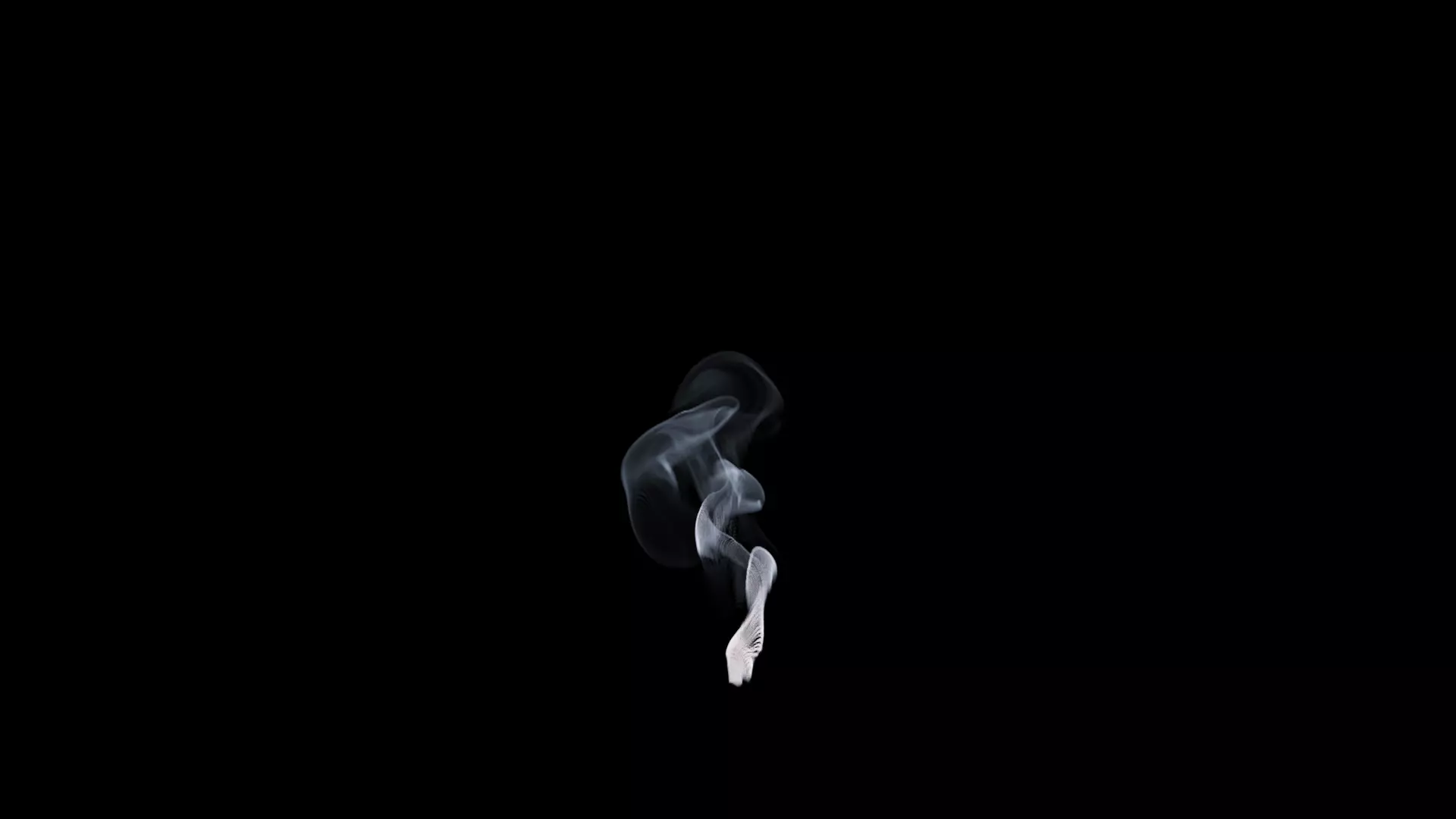 3D Cigar Smoke Animation 3D model_30