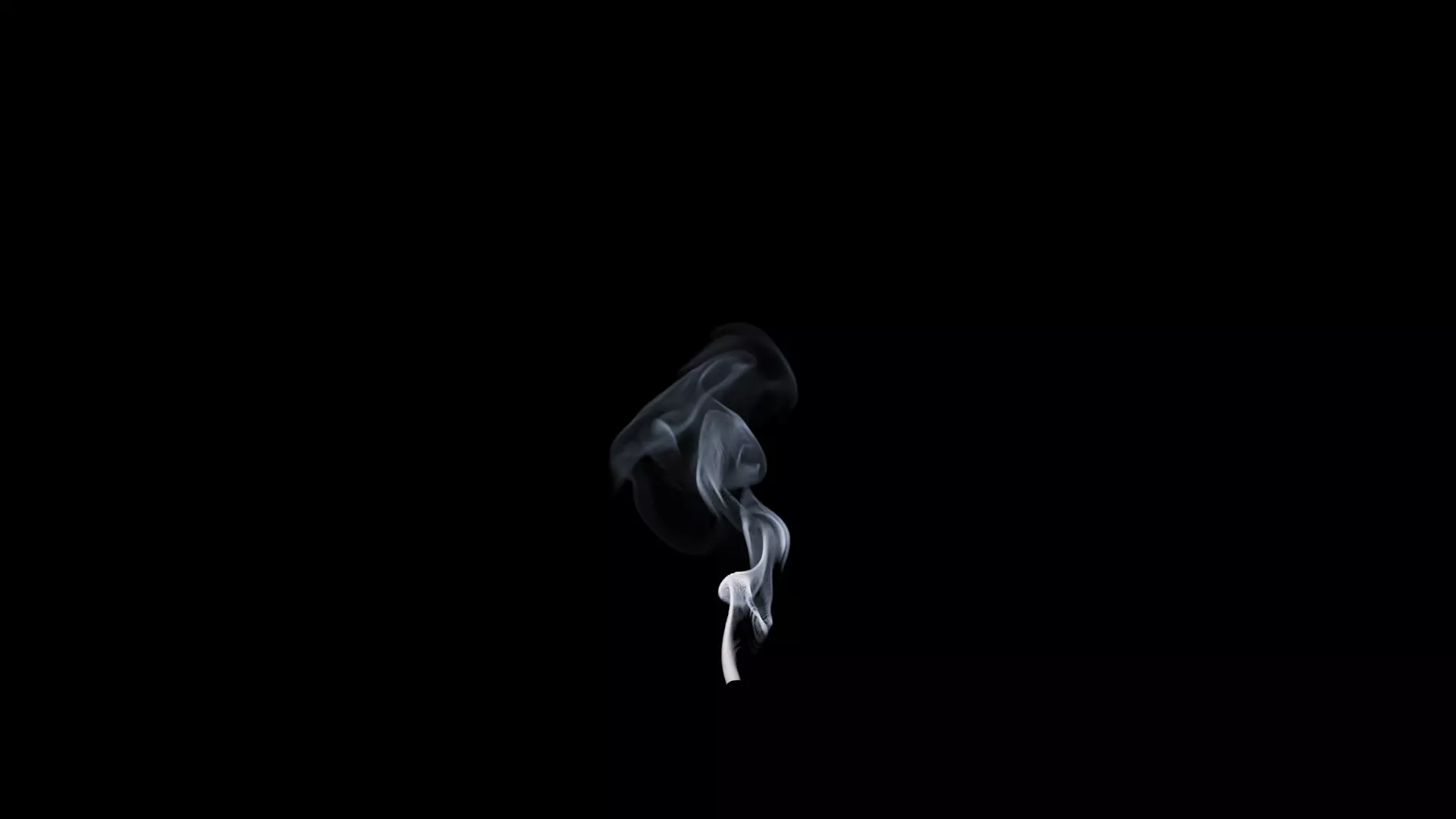 3D Cigar Smoke Animation 3D model_61