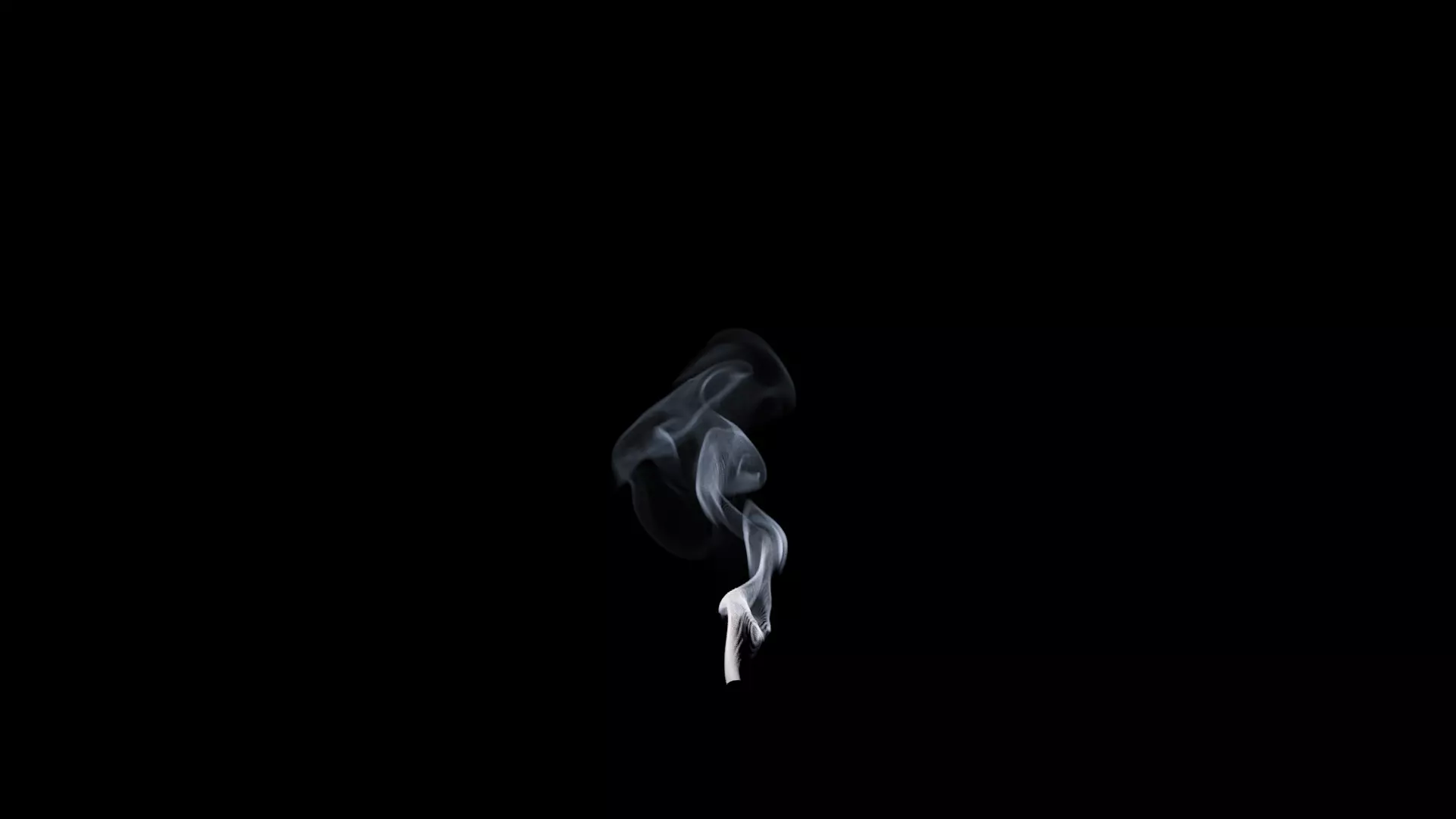 3D Cigar Smoke Animation 3D model_54