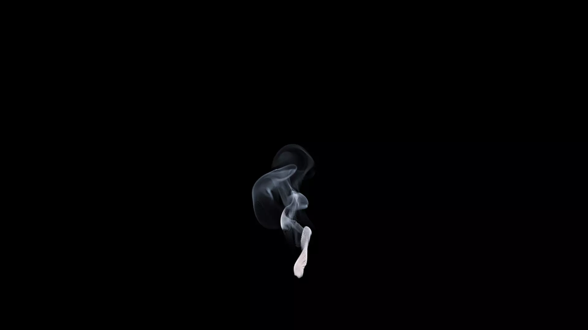 3D Cigar Smoke Animation 3D model_23