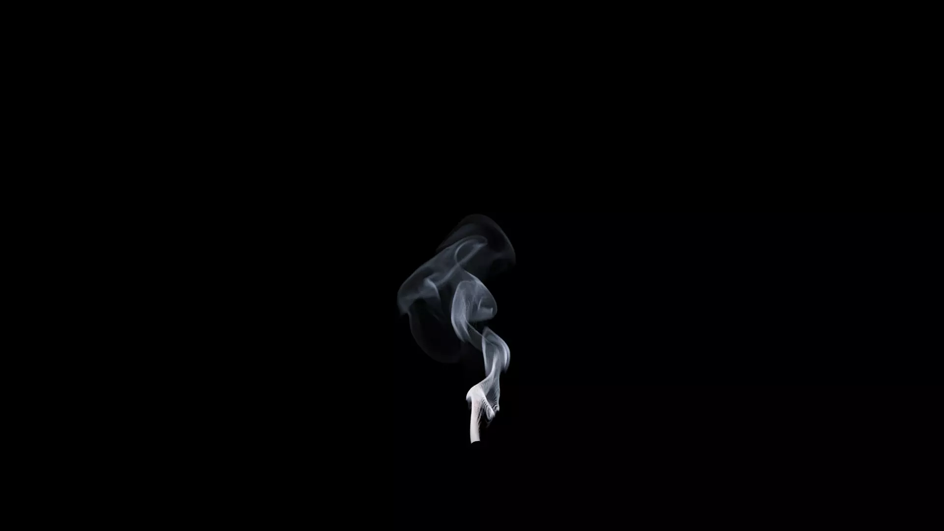 3D Cigar Smoke Animation 3D model_52