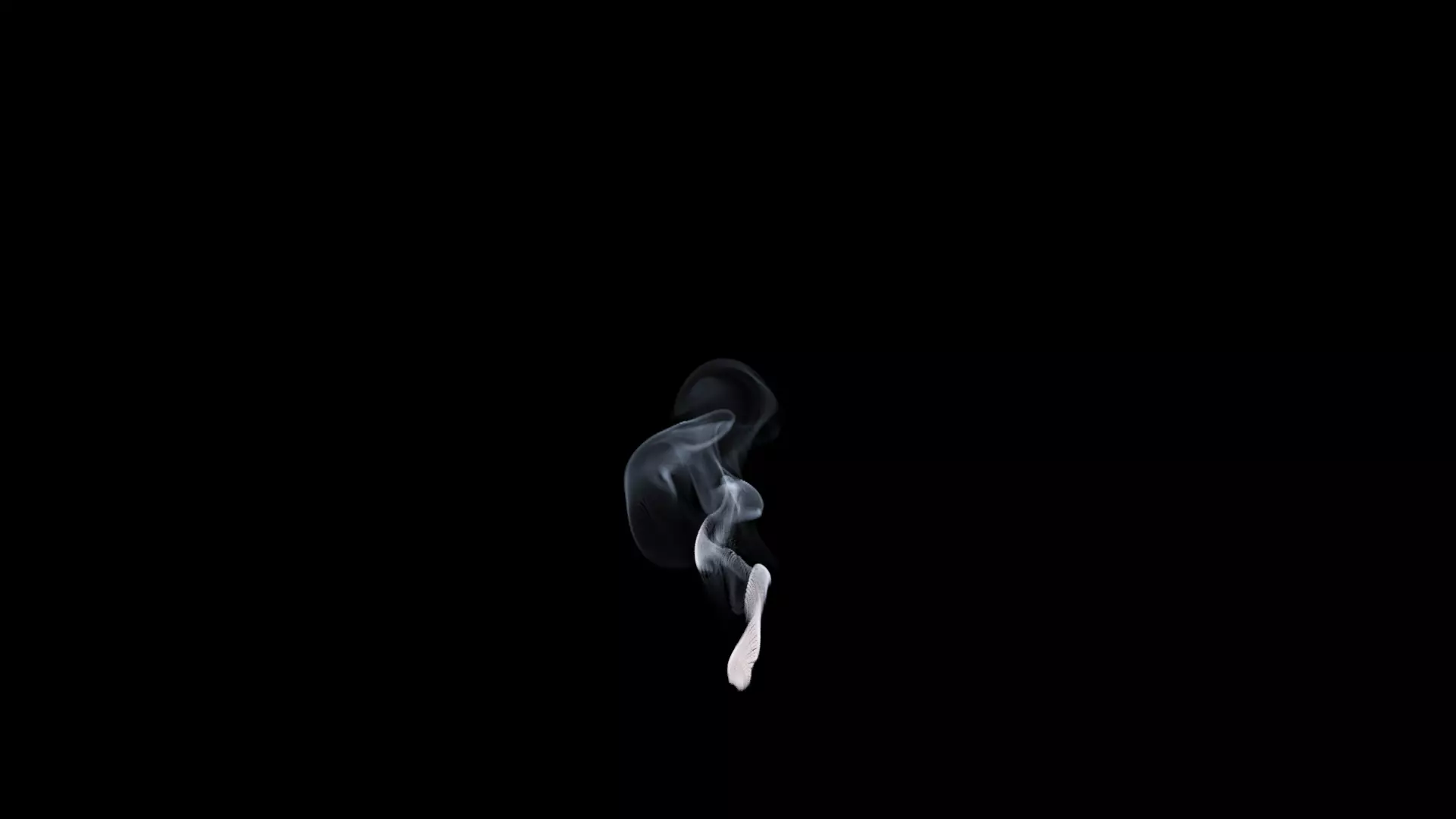 3D Cigar Smoke Animation 3D model_22