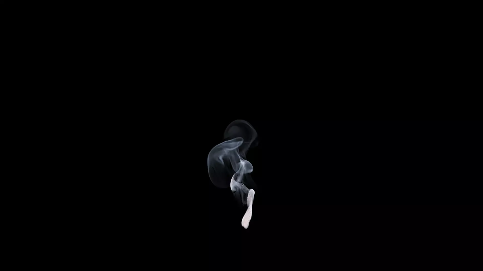 3D Cigar Smoke Animation 3D model_19