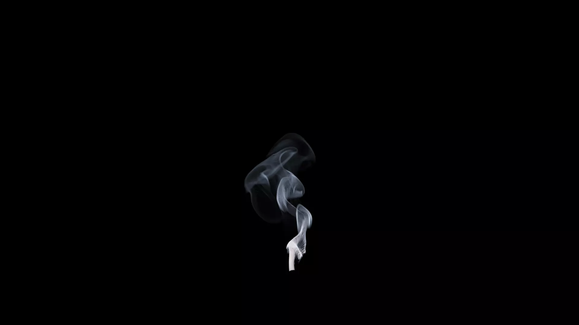 3D Cigar Smoke Animation 3D model_47