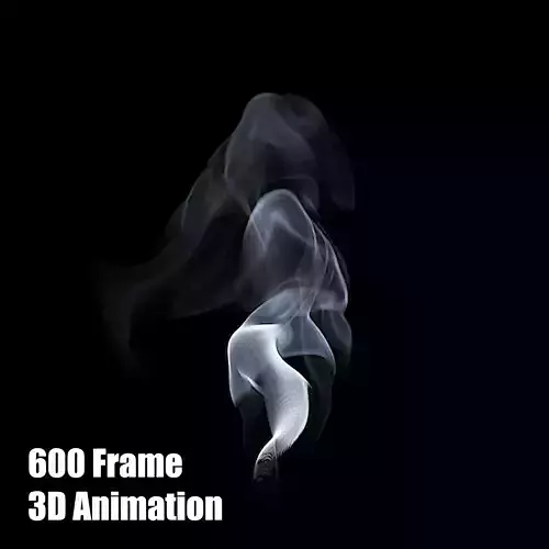 3D Cigar Smoke Animation 3D model