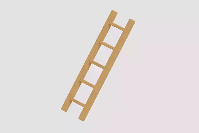 Wooden Ladder