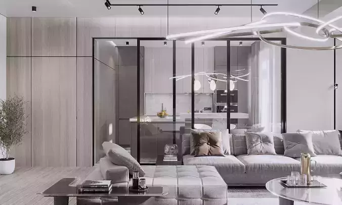 Living room with Kitchen and Enter interior