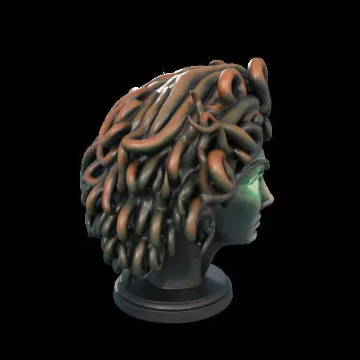 2110 Medusa Gorgon Head 3D Model  magic 3D print model_28