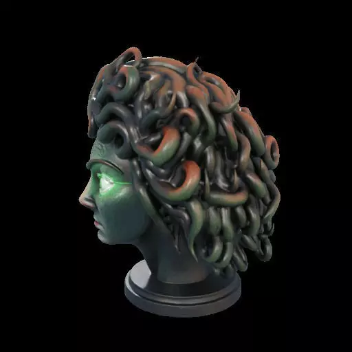 2110 Medusa Gorgon Head 3D Model  magic 3D print model_16