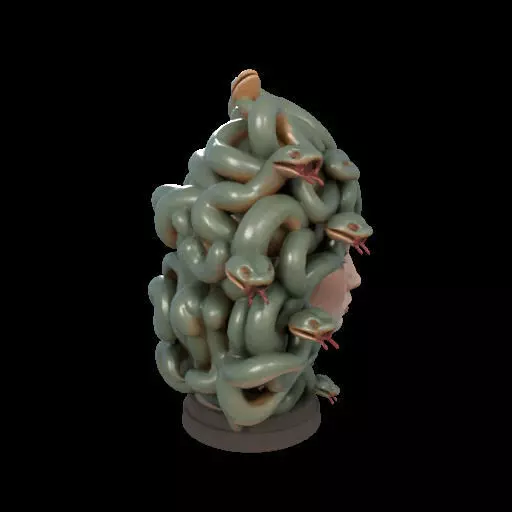 2111 Medusa Gorgon Head 3D Model  magic 3D print model_28