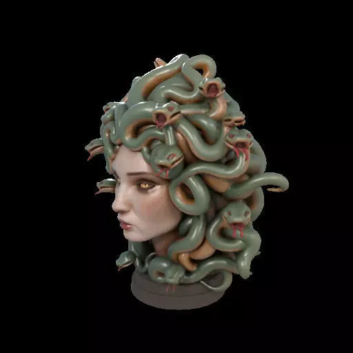 2111 Medusa Gorgon Head 3D Model  magic 3D print model_19