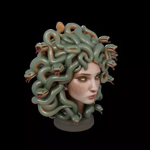 2111 Medusa Gorgon Head 3D Model  magic 3D print model_23