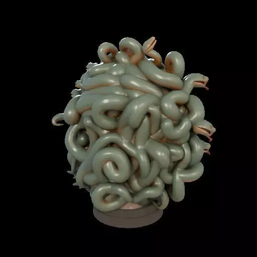 2111 Medusa Gorgon Head 3D Model  magic 3D print model_5
