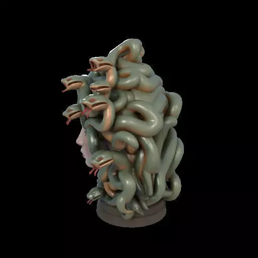 2111 Medusa Gorgon Head 3D Model  magic 3D print model_15