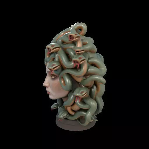 2111 Medusa Gorgon Head 3D Model  magic 3D print model_17