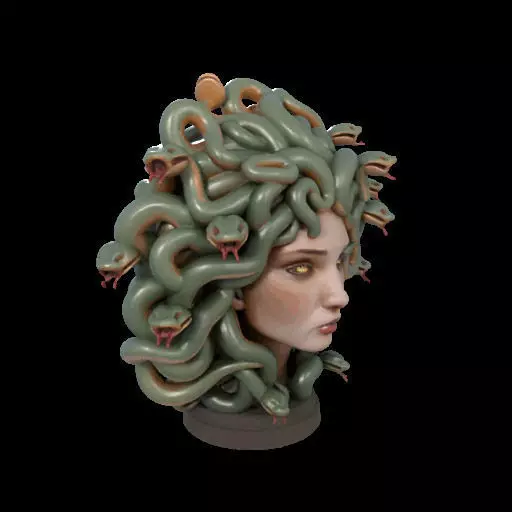 2111 Medusa Gorgon Head 3D Model  magic 3D print model_24