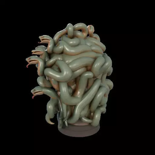 2111 Medusa Gorgon Head 3D Model  magic 3D print model_11