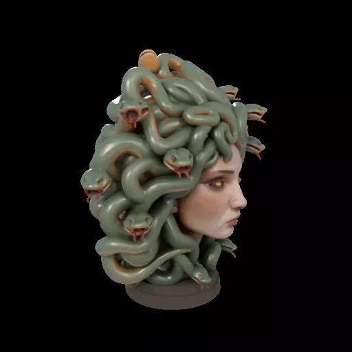 2111 Medusa Gorgon Head 3D Model  magic 3D print model_25
