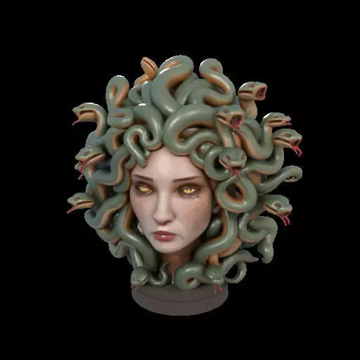 2111 Medusa Gorgon Head 3D Model  magic 3D print model_22