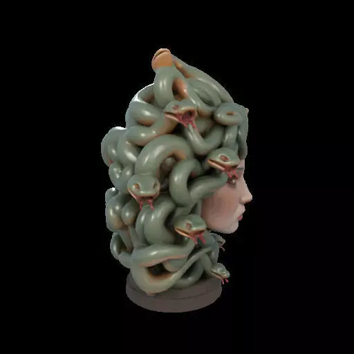 2111 Medusa Gorgon Head 3D Model  magic 3D print model_27