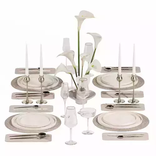 Table setting H54
