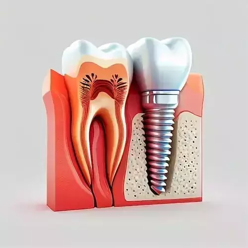 presents a comparative diagram between a natural human 3D print model