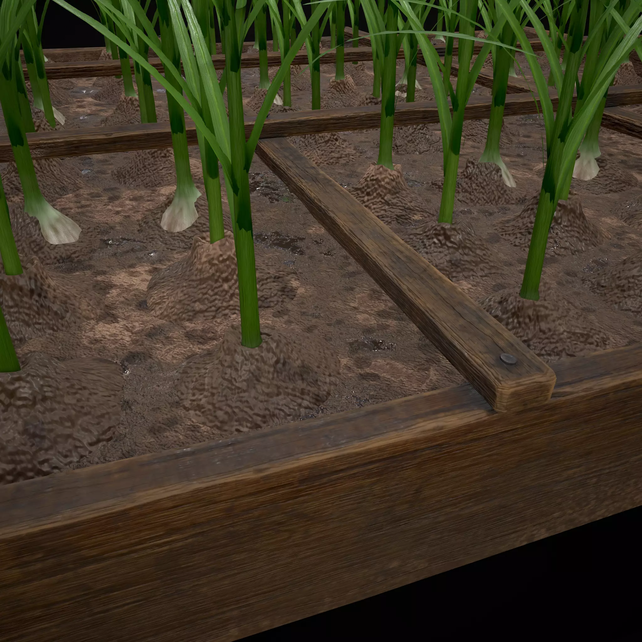 Square Planting Plot with Garlic Low-poly 3D model_28