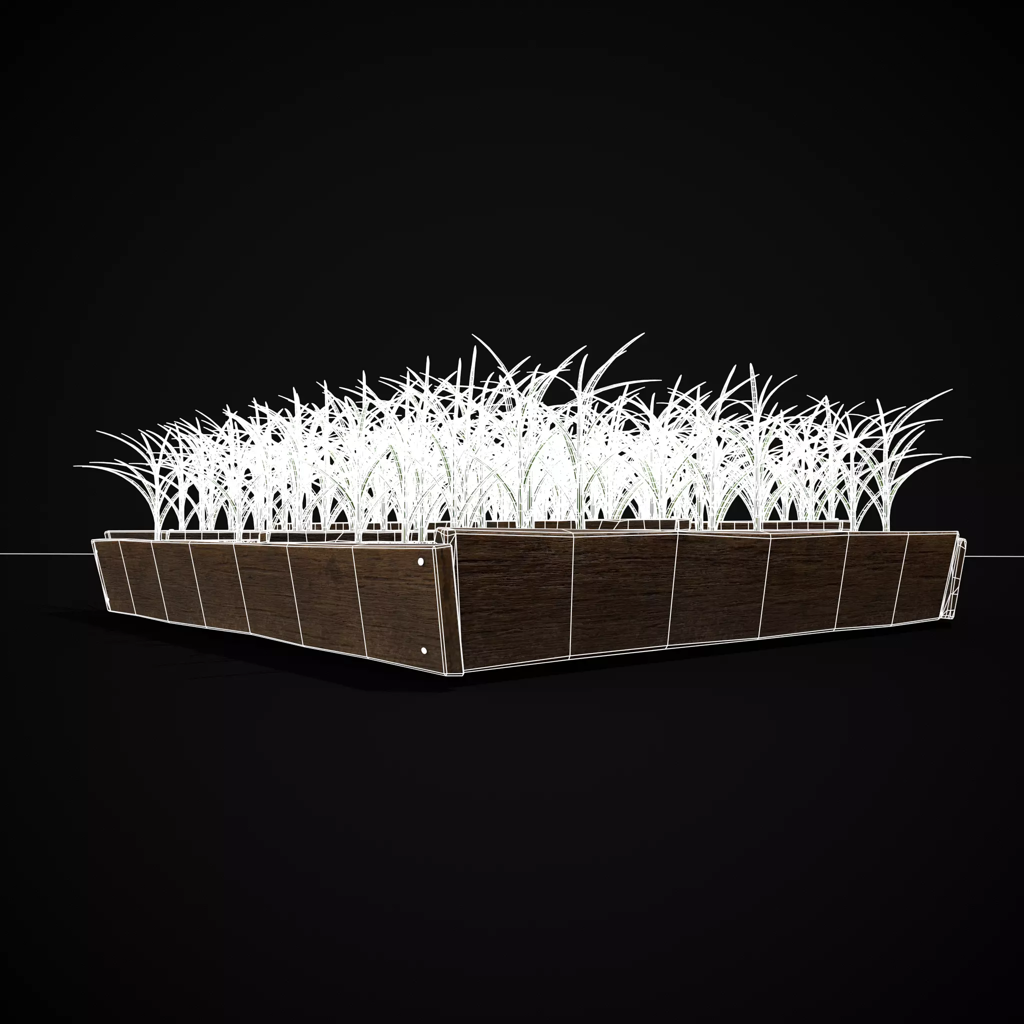 Square Planting Plot with Garlic Low-poly 3D model_11